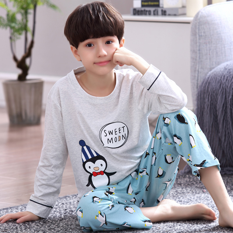 boys Cartoon long sleeve pajamas Cotton cut pjs